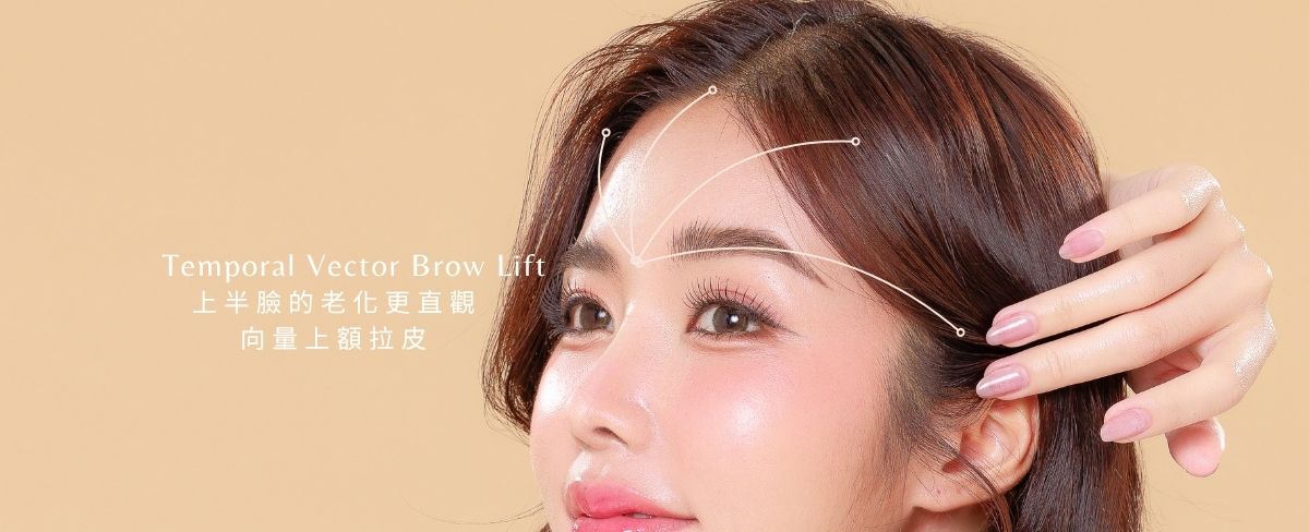 向量上額拉皮 向量上額拉皮