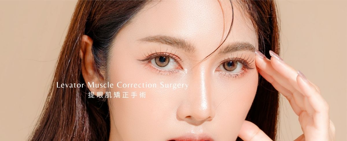 提眼肌 提眼肌矯正手術